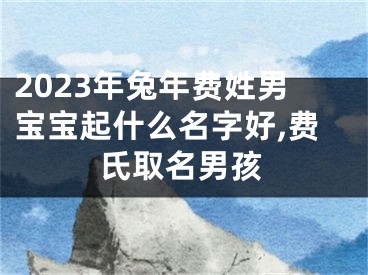 2023年兔年费姓男宝宝起什么名字好,费氏取名男孩