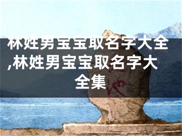 林姓男宝宝取名字大全,林姓男宝宝取名字大全集