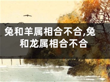 兔和羊属相合不合,兔和龙属相合不合