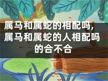属马和属蛇的相配吗,属马和属蛇的人相配吗的合不合