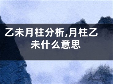 乙未月柱分析,月柱乙未什么意思