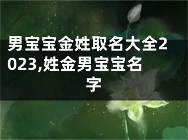 男宝宝金姓取名大全2023,姓金男宝宝名字
