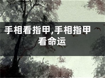 手相看指甲,手相指甲看命运