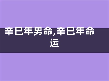 辛巳年男命,辛巳年命运