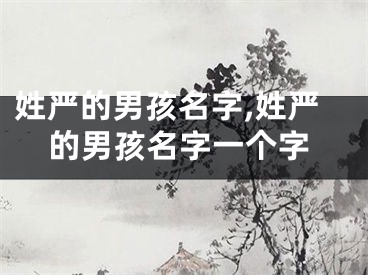 姓严的男孩名字,姓严的男孩名字一个字
