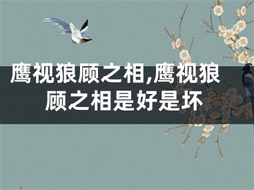 鹰视狼顾之相,鹰视狼顾之相是好是坏