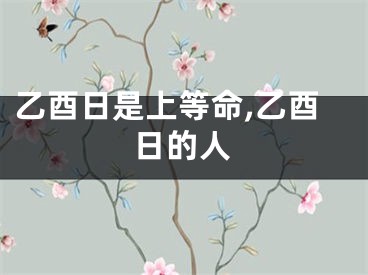 乙酉日是上等命,乙酉日的人
