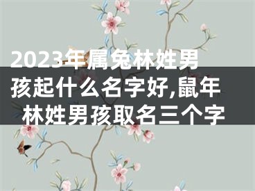 2023年属兔林姓男孩起什么名字好,鼠年林姓男孩取名三个字