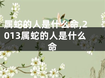 属蛇的人是什么命,2013属蛇的人是什么命