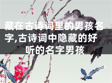 藏在古诗词里的男孩名字,古诗词中隐藏的好听的名字男孩