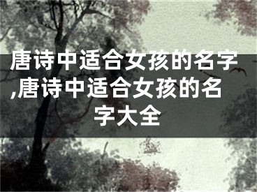 唐诗中适合女孩的名字,唐诗中适合女孩的名字大全