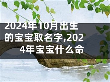 2024年10月出生的宝宝取名字,2024年宝宝什么命