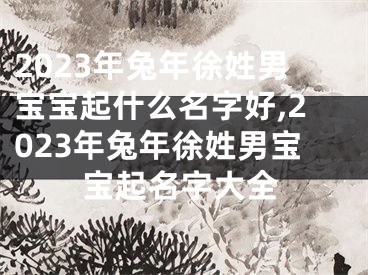 2023年兔年徐姓男宝宝起什么名字好,2023年兔年徐姓男宝宝起名字大全