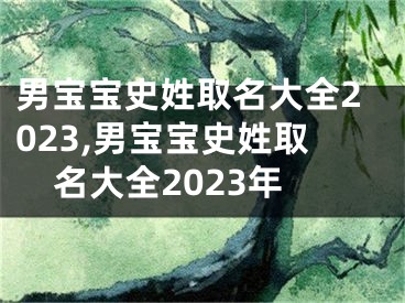男宝宝史姓取名大全2023,男宝宝史姓取名大全2023年