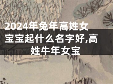 2024年兔年高姓女宝宝起什么名字好,高姓牛年女宝