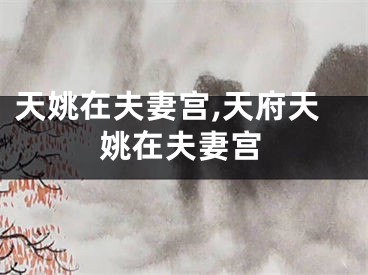 天姚在夫妻宫,天府天姚在夫妻宫