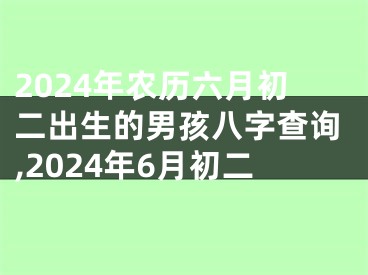 2024年农历六月初二出生的男孩八字查询,2024年6月初二