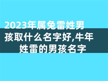 2023年属兔雷姓男孩取什么名字好,牛年姓雷的男孩名字