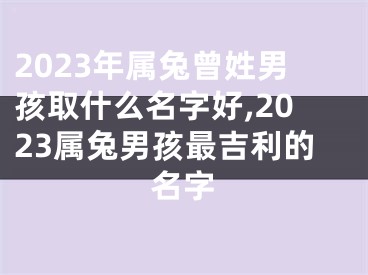 2023年属兔曾姓男孩取什么名字好,2023属兔男孩最吉利的名字