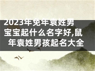 2023年免年袁姓男宝宝起什么名字好,鼠年袁姓男孩起名大全