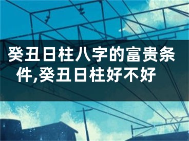 癸丑日柱八字的富贵条件,癸丑日柱好不好