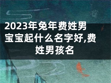 2023年兔年费姓男宝宝起什么名字好,费姓男孩名