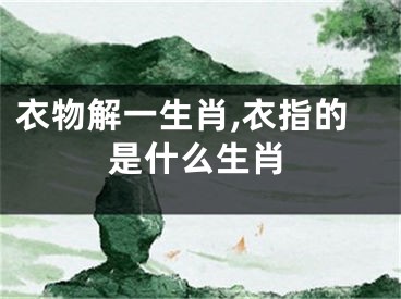 衣物解一生肖,衣指的是什么生肖