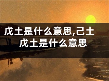 戊土是什么意思,己土戊土是什么意思