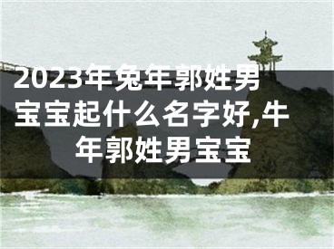 2023年兔年郭姓男宝宝起什么名字好,牛年郭姓男宝宝