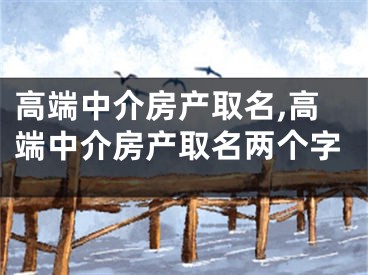 高端中介房产取名,高端中介房产取名两个字