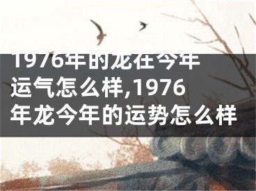 1976年的龙在今年运气怎么样,1976年龙今年的运势怎么样