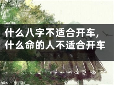 什么八字不适合开车,什么命的人不适合开车