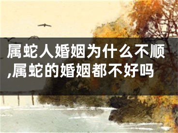 属蛇人婚姻为什么不顺,属蛇的婚姻都不好吗