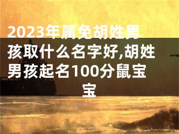 2023年属免胡姓男孩取什么名字好,胡姓男孩起名100分鼠宝宝