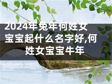2024年兔年何姓女宝宝起什么名字好,何姓女宝宝牛年
