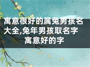 寓意很好的属兔男孩名大全,兔年男孩取名字寓意好的字