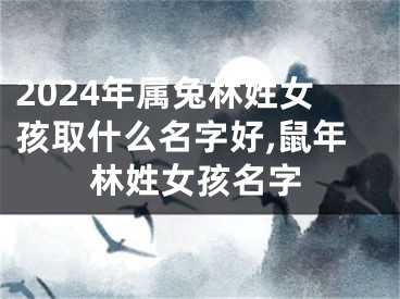 2024年属兔林姓女孩取什么名字好,鼠年林姓女孩名字
