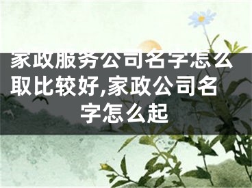 家政服务公司名字怎么取比较好,家政公司名字怎么起