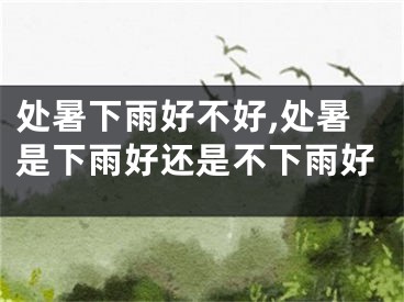 处暑下雨好不好,处暑是下雨好还是不下雨好