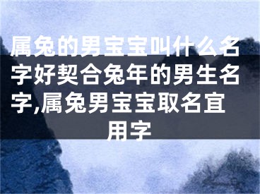属兔的男宝宝叫什么名字好契合兔年的男生名字,属兔男宝宝取名宜用字