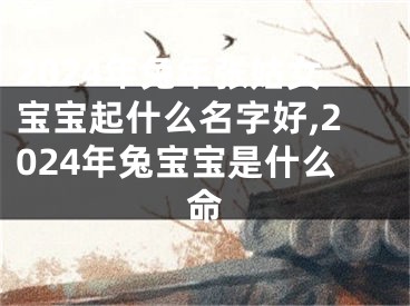 2024年兔年张姑女宝宝起什么名字好,2024年兔宝宝是什么命