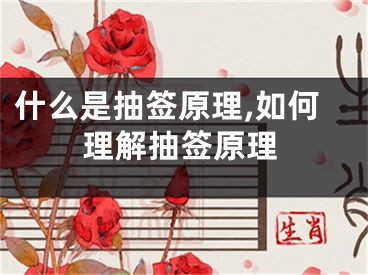 什么是抽签原理,如何理解抽签原理