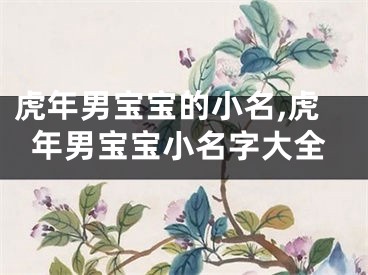 虎年男宝宝的小名,虎年男宝宝小名字大全