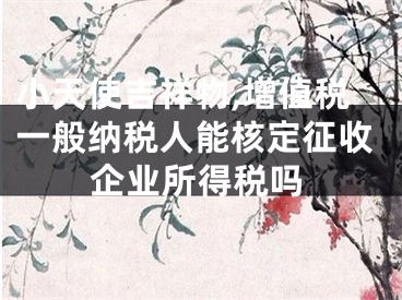 小天使吉祥物,增值税一般纳税人能核定征收企业所得税吗