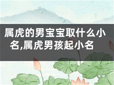 属虎的男宝宝取什么小名,属虎男孩起小名