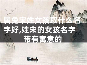 属兔宋姓女孩取什么名字好,姓宋的女孩名字带有寓意的