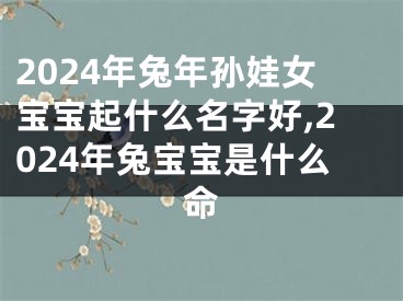 2024年兔年孙娃女宝宝起什么名字好,2024年兔宝宝是什么命