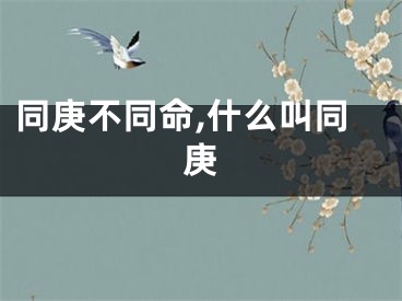同庚不同命,什么叫同庚