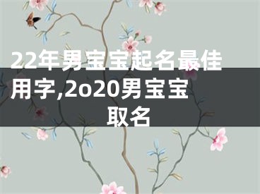 22年男宝宝起名最佳用字,2o20男宝宝取名