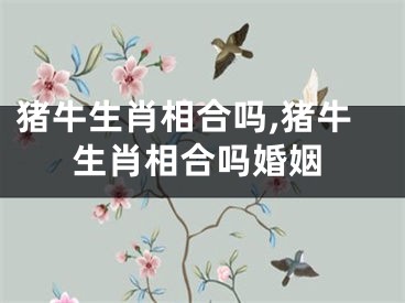 猪牛生肖相合吗,猪牛生肖相合吗婚姻
